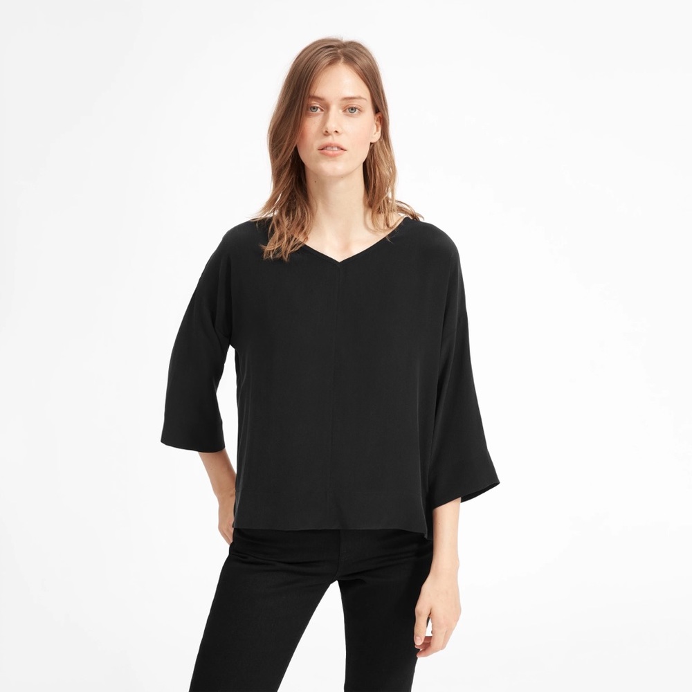 Everlane Silk V-Neck Blouse